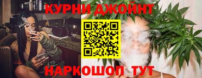 ПСИЛОЦИБИНОВЫЕ ГРИБЫ Камышлов