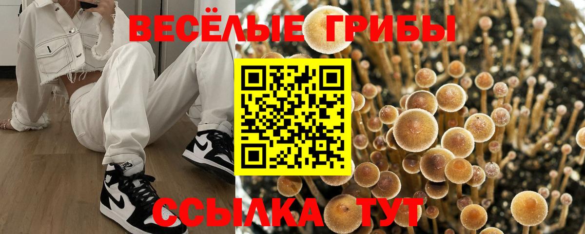 Лыткарино  Галлюциногенные грибы ЛСД  Вход с VPN 